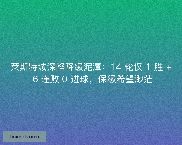莱斯特城深陷降级泥潭：14 轮仅 1 胜 + 6 连败 0 进球，保级希望渺茫