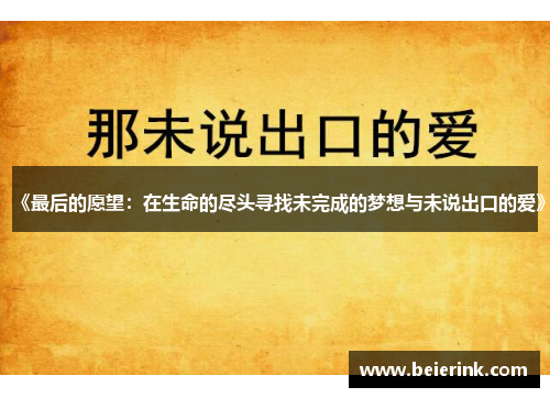 《最后的愿望：在生命的尽头寻找未完成的梦想与未说出口的爱》