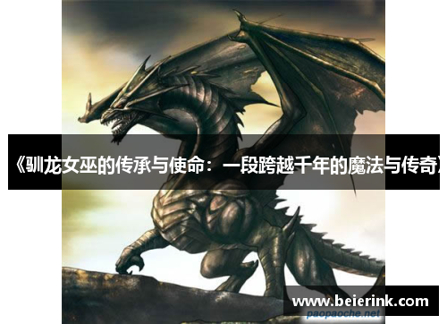 《驯龙女巫的传承与使命：一段跨越千年的魔法与传奇》