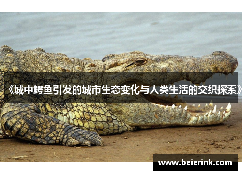 《城中鳄鱼引发的城市生态变化与人类生活的交织探索》
