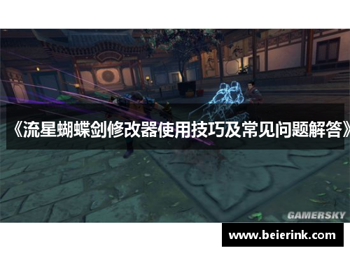 《流星蝴蝶剑修改器使用技巧及常见问题解答》